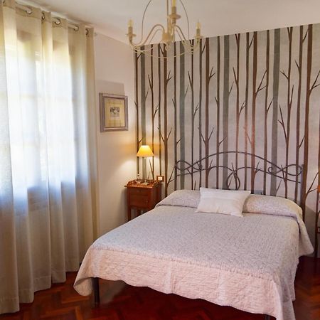 Villa Mandrioli Cecina  Zewnętrze zdjęcie